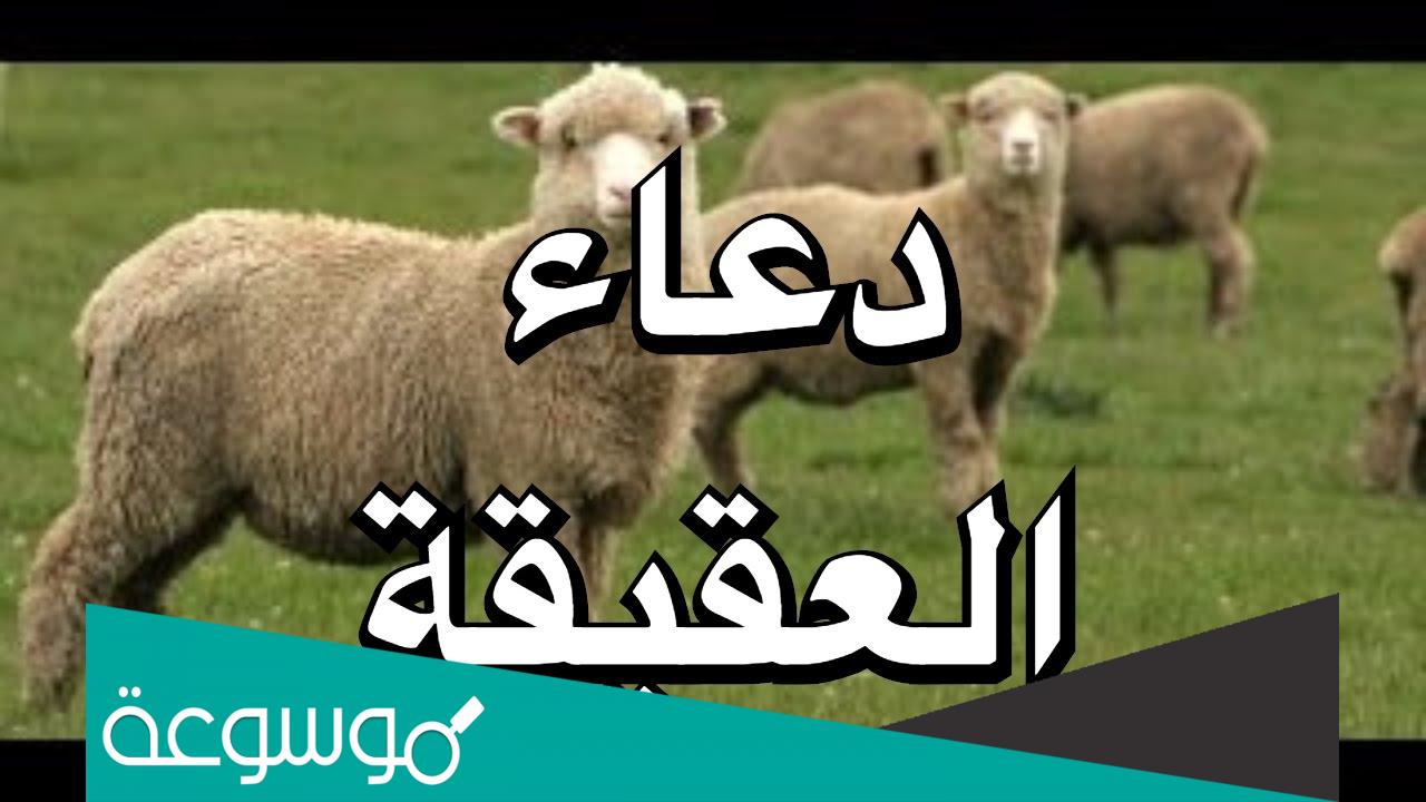 دعاء العقيقة عند الشيعة