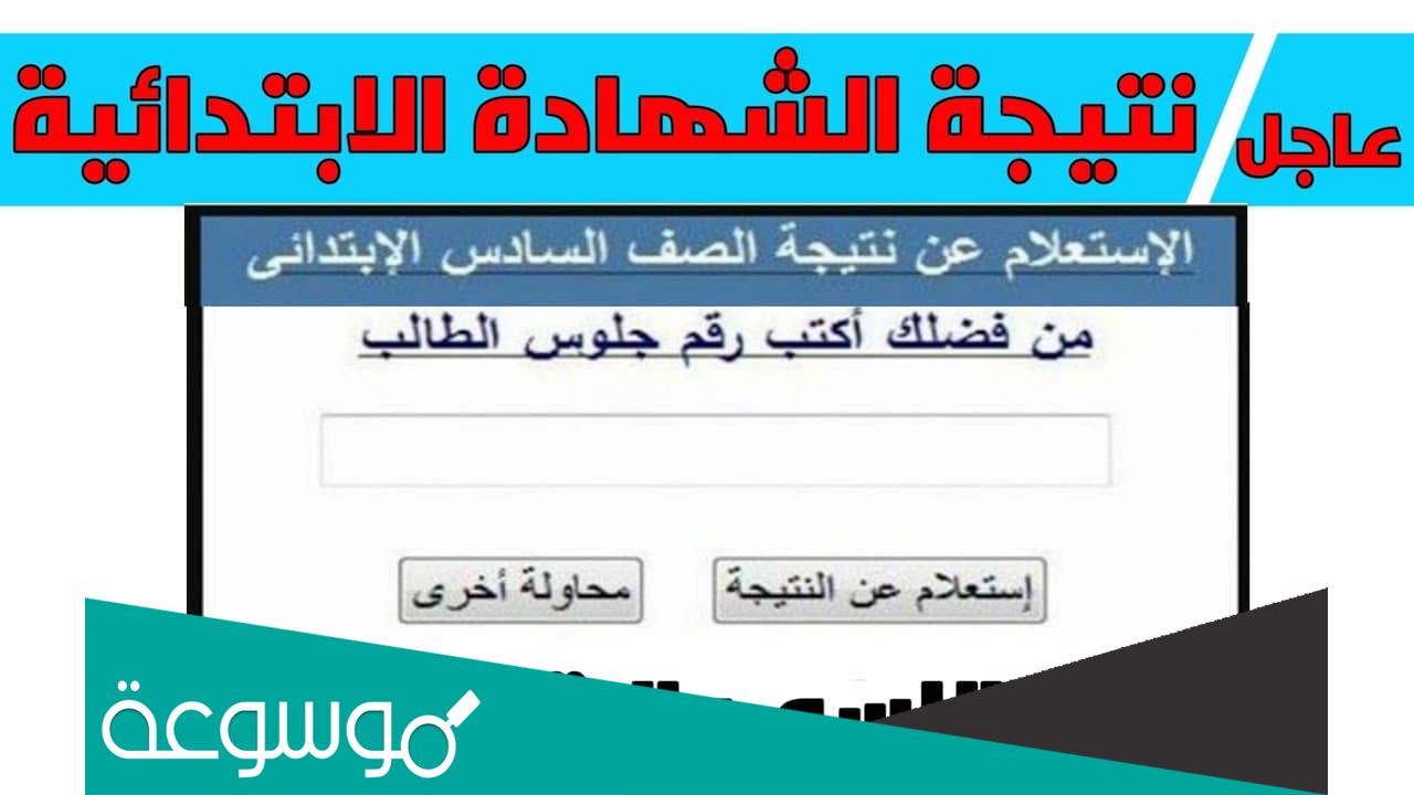 نتيجة الصف السادس الابتدائي برقم الجلوس 2022 محافظة القليوبية