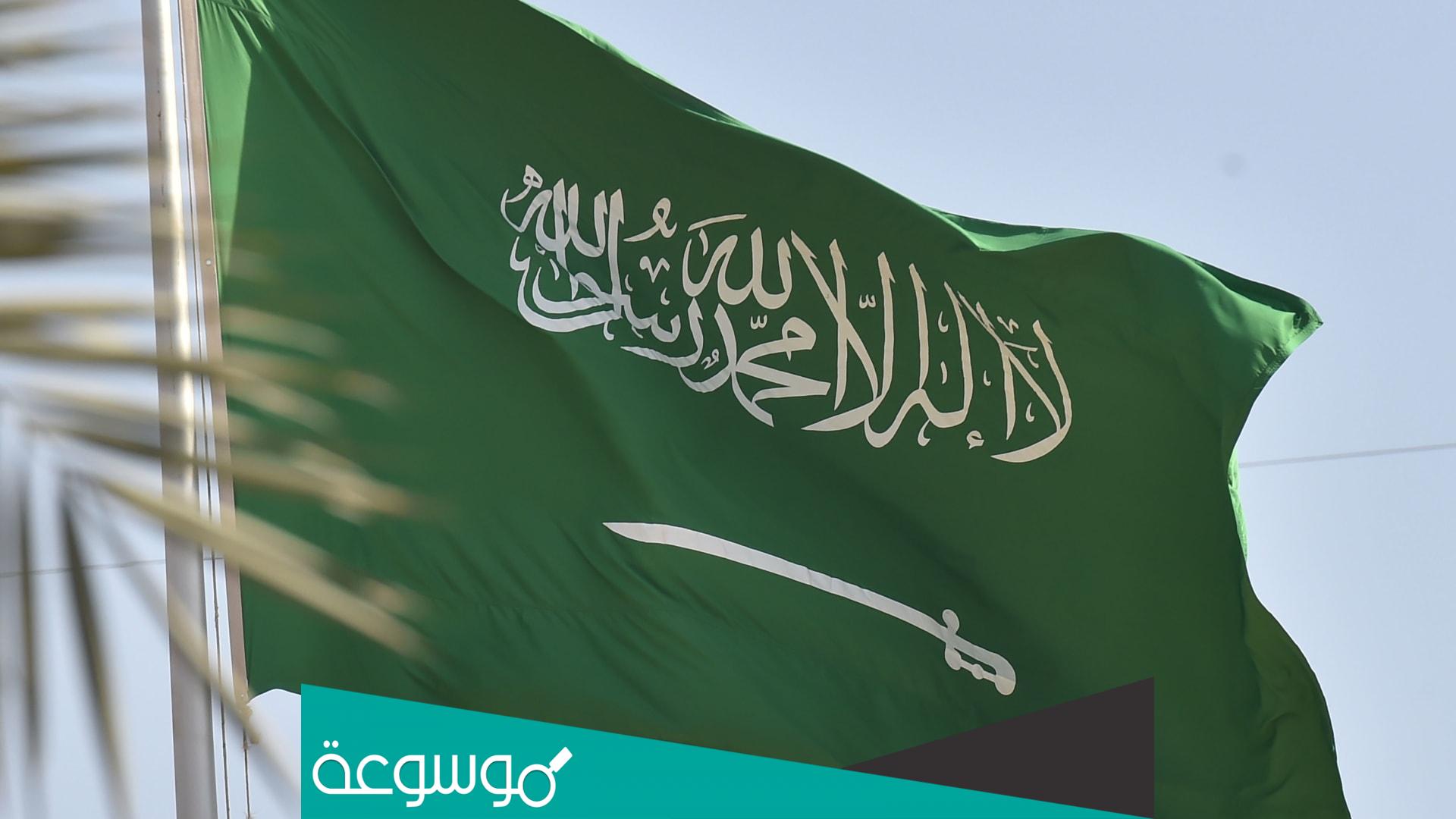 كم راتب الوزير في السعودية