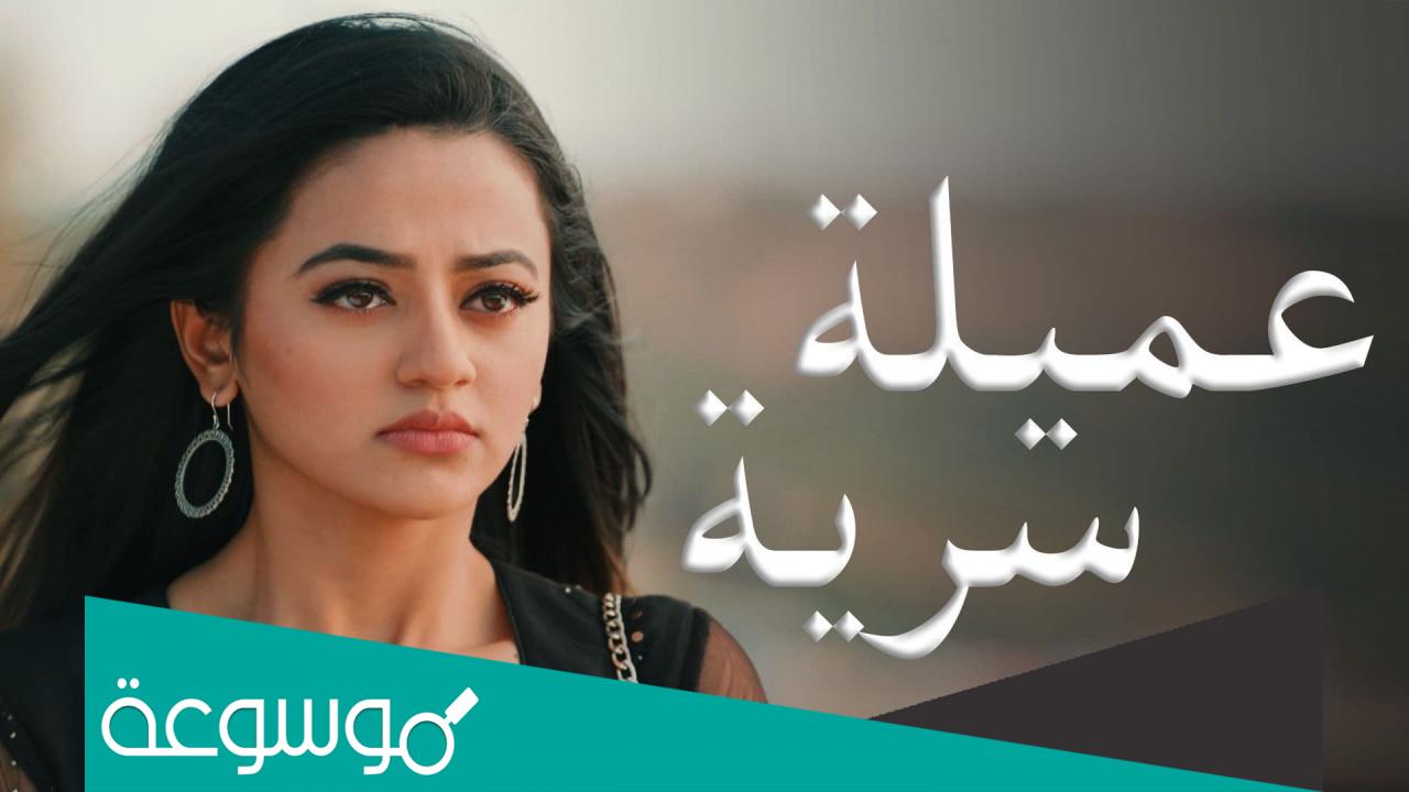 قصة مسلسل عميلة سرية بعد موت فانقصة مسلسل عميلة سرية بعد موت فانيشيش