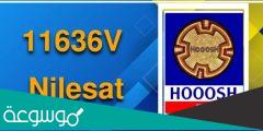 تردد قناة الحوش السودانية 2022 الجديد Hooosh TV على النايل سات